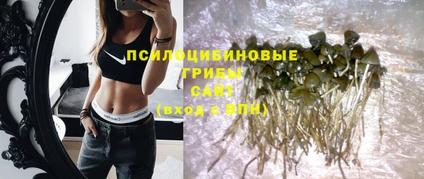 Альфа ПВП Алзамай
