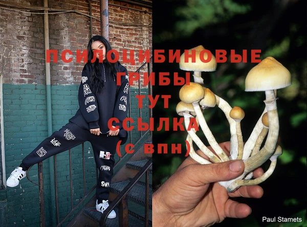 Альфа ПВП Алзамай
