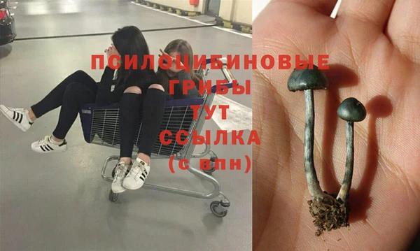 Альфа ПВП Алзамай