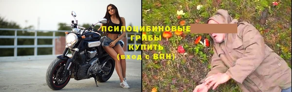 герыч Алексин