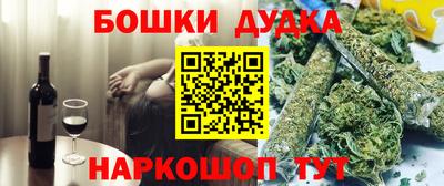 МДПВ Лесосибирск