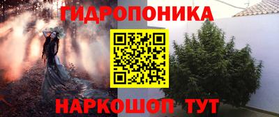 спиды Ливны