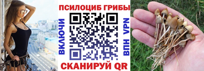 Псилоцибиновые грибы ЛСД  Дедовск 