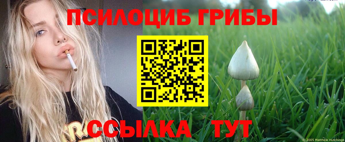 Псилоцибиновые грибы Psilocybe  Вход с VPN  купить наркотики цена  Дедовск 